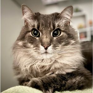 Meet your Posher, Andrea